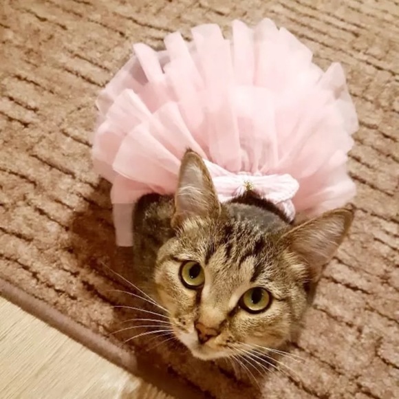 Other - 🥳HP🥳Puppies and Cats Dress